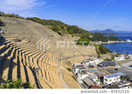 宇和島市水穀勇子的梯田 宇和島市水穀勇子的梯田 65632529