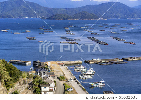 宇和島市水穀優子梯田的宇和海 65632533