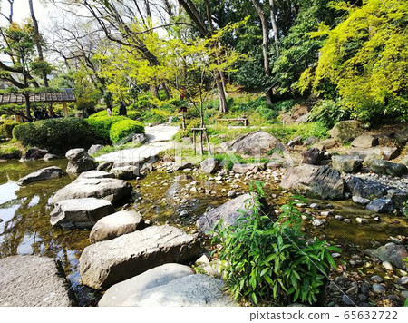Fresh green rustic Japanese garden stream and stepping stones 65632722