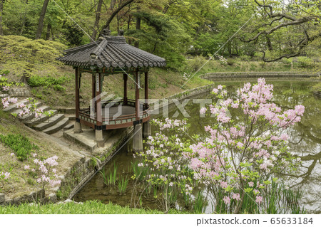 昌德宮 昌德宮 65633184