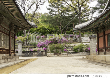Changgyeonggung 65633190