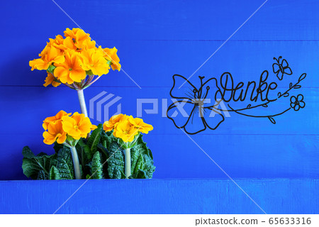 Yellow Spring Flowers, Calligraphy Danke Means 65633316