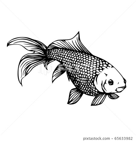 金魚柳金圖 65633982