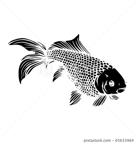 金魚柳金圖 65633984