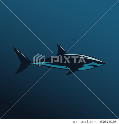 Great white shark sign logo on blue background 65634086