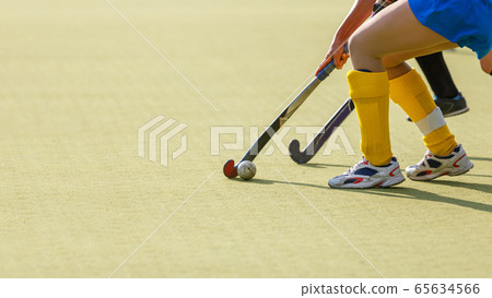 Two field hockey players struggle for the ball Two field hockey players struggle for the ball 65634566