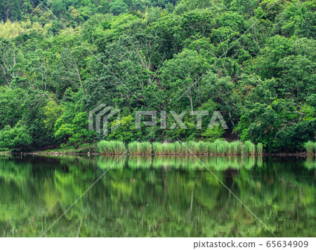 春季京都弘澤池 春季京都弘澤池 65634909