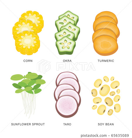 Set of Vegetable Slices. Organic and healthy food isolated element Vector illustration. 65635089