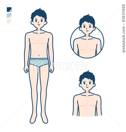 vector, vectors, lingerie 65635988