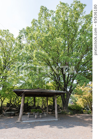 鹿沼公園 65636180