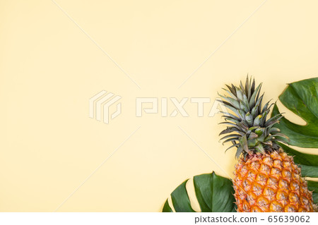 鳳梨 熱帶 葉子 蓬萊蕉 背景 龜背葉 pineapple background パイナップル 65639062