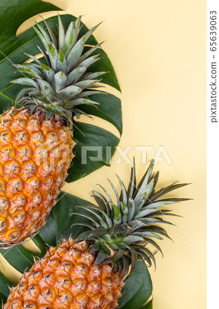 鳳梨 熱帶 葉子 蓬萊蕉 背景 龜背葉 pineapple background パイナップル 65639063
