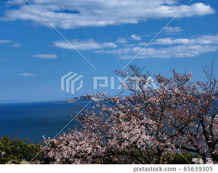 View of Harima Nada in spring from Cape Manyo 65639305