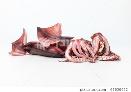 魷魚 魷魚 65639422