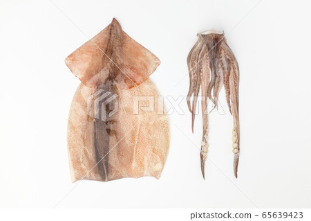 魷魚 魷魚 65639423