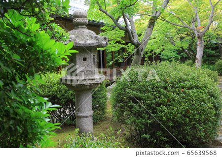 日本庭園 65639568