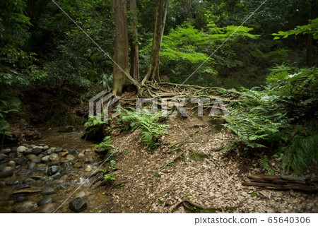 Myonzawa Myonzawa 65640306