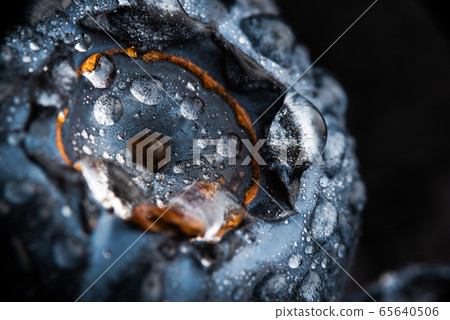 One blueberry covered with water drops isolated on One blueberry covered with water drops isolated on 65640506