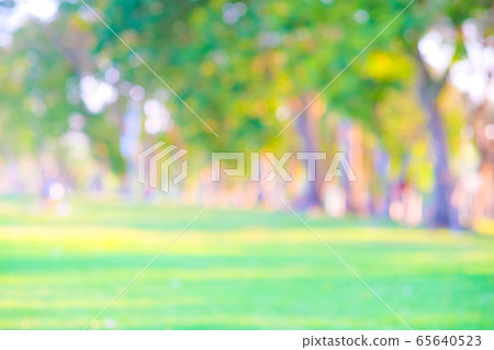 Abstract blurred green tree park sunset light Abstract blurred green tree park sunset light 65640523