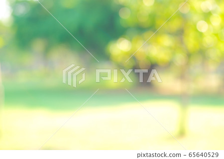 Abstract green blurred city park day light 65640529