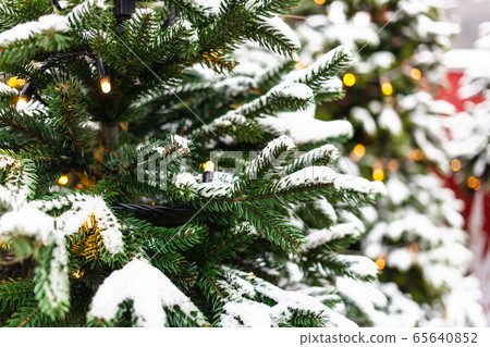 christmas tree covered by snow outdoors in winter christmas tree covered by snow outdoors in winter 65640852