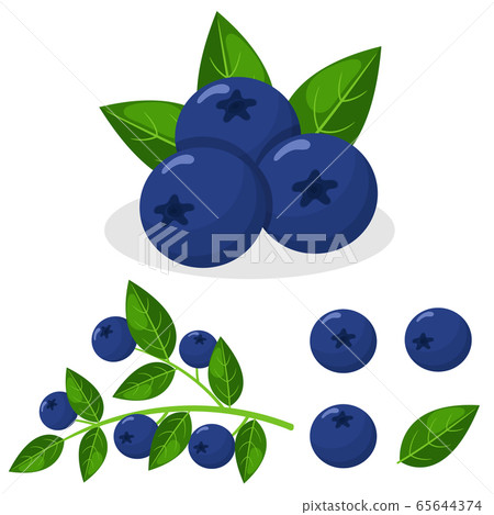 Set of fresh bright exotic blueberries isolated on Set of fresh bright exotic blueberries isolated on 65644374