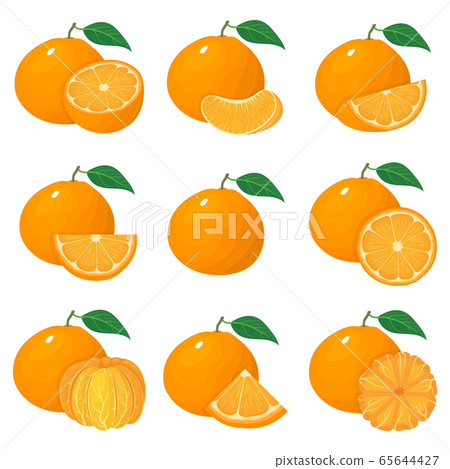 Set of fresh whole, half, cut slice tangerine or Set of fresh whole, half, cut slice tangerine or 65644427