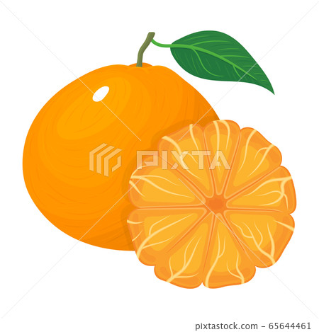 Fresh bright composition of exotic whole and 65644461
