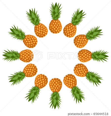 Wreath from whole pineapple with space for text. 65644518