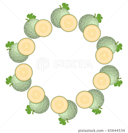 Wreath from green cantaloupe melon with space for 65644534