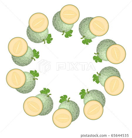 Wreath from green cantaloupe melon with space for 65644535