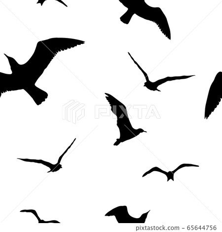 Silhouettes seagulls. Vector Black pattern wall decor 65644756