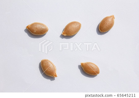 Pumpkin seed Pumpkin seed 65645211