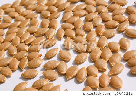 Pumpkin seed Pumpkin seed 65645212
