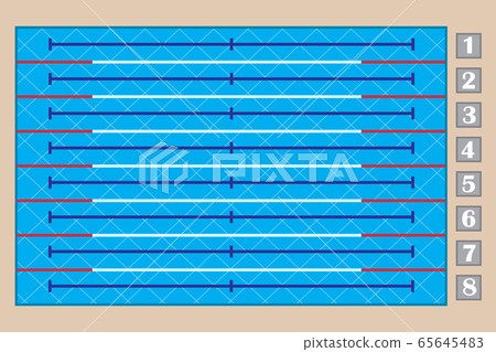 Sport swimming pool top view, eight-track swimming pool Sport swimming pool top view, eight-track swimming pool 65645483