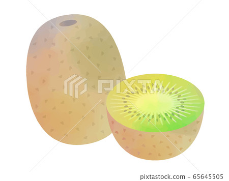 奇異果水彩插圖 65645505
