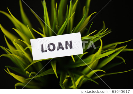Credit concept. Loan written on white card. 65645617