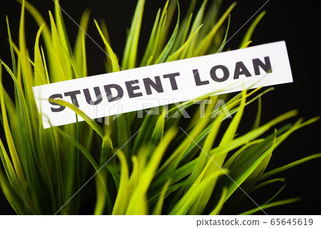 Credit concept. Student loan written on white card. 65645619