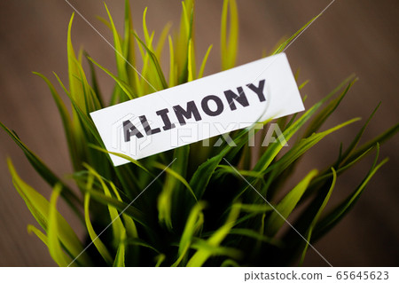 Divorce and separation concept. Alimony written on white card. 65645623
