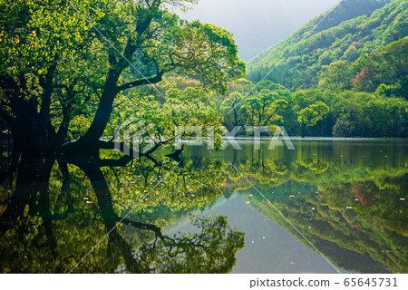 Jusanji Landscape 65645731