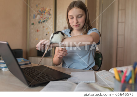 Girl teenager 12-15 years old, plays with a rat, mouse, home laptop lessons. E-education and distance learning through the Internet and video communications. Notebooks abstracts and pencils. Girl teenager 12-15 years old, plays with a rat, mouse, home laptop lessons. E-education and distance learning through the Internet and video communications. Notebooks abstracts and pencils. 65646575