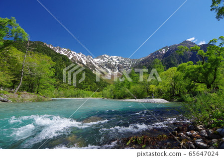 Superb view of Kamikochi (around Kappabashi in early summer) 65647024