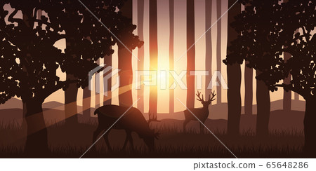 wildlife elk in green forest nature landscape wildlife elk in green forest nature landscape 65648286