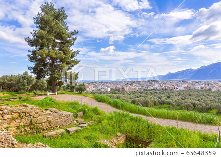 Aerial view of Sparta, Peloponnese, Greece 65648359