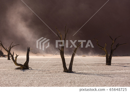 Silhouettes of dry hundred years old trees in the desert among red sand dunes and whirlwind. Unusual surreal alien landscape with dead skeletons trees. Deadvlei, Namib-Naukluft National Park, Namibia. Silhouettes of dry hundred years old trees in the desert among red sand dunes and whirlwind. Unusual surreal alien landscape with dead skeletons trees. Deadvlei, Namib-Naukluft National Park, Namibia. 65648725
