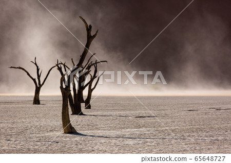 Silhouettes of dry hundred years old trees in the desert among red sand dunes and whirlwind. Unusual surreal alien landscape with dead skeletons trees. Deadvlei, Namib-Naukluft National Park, Namibia. Silhouettes of dry hundred years old trees in the desert among red sand dunes and whirlwind. Unusual surreal alien landscape with dead skeletons trees. Deadvlei, Namib-Naukluft National Park, Namibia. 65648727