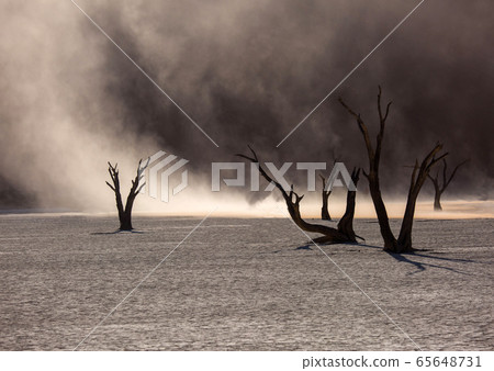 Silhouettes of dry hundred years old trees in the desert among red sand dunes and whirlwind. Unusual surreal alien landscape with dead skeletons trees. Deadvlei, Namib-Naukluft National Park, Namibia. Silhouettes of dry hundred years old trees in the desert among red sand dunes and whirlwind. Unusual surreal alien landscape with dead skeletons trees. Deadvlei, Namib-Naukluft National Park, Namibia. 65648731