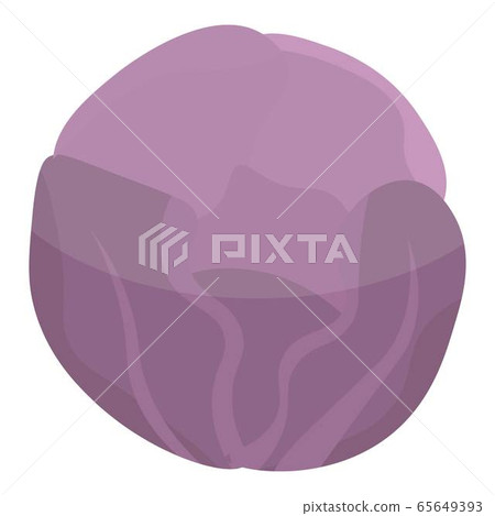 Violet cabbage icon, isometric style 65649393
