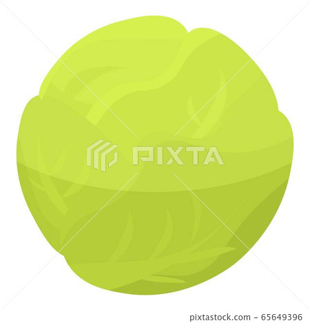 Eco garden cabbage icon, isometric style 65649396