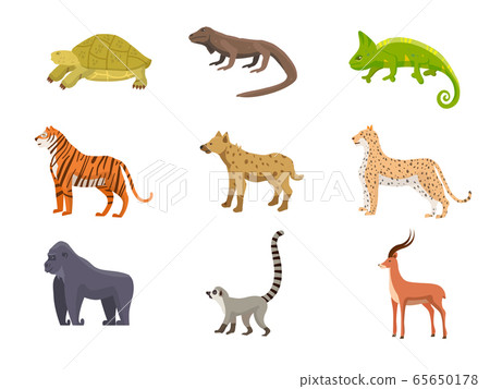 Wild African animals flat vector illustrations set Wild African animals flat vector illustrations set 65650178